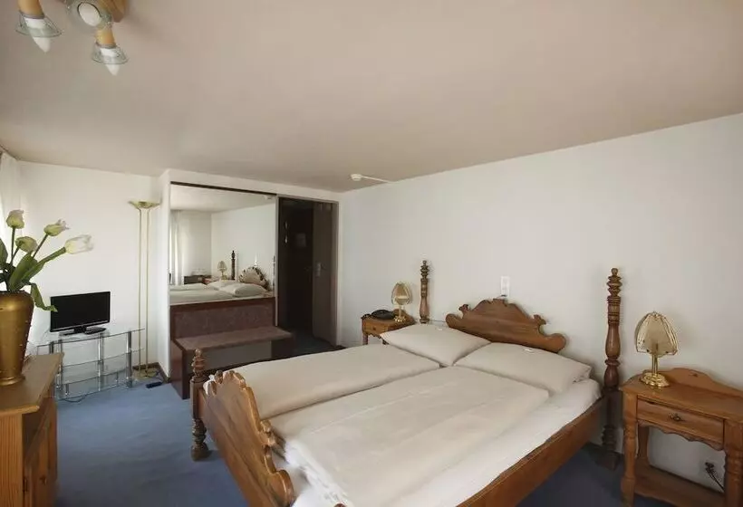 Fotos del hotel Spalenbrunnen Hotel & Restaurant Basel City Center:  10