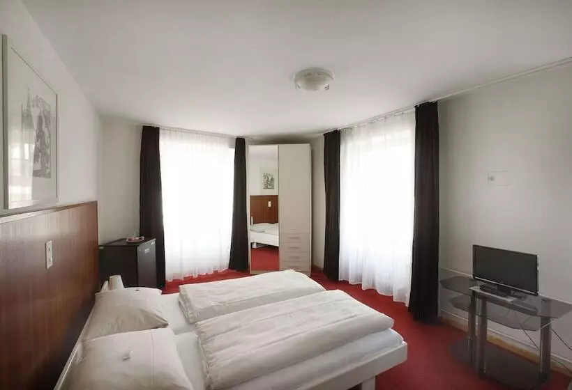 Fotos del hotel Spalenbrunnen Hotel & Restaurant Basel City Center:  19