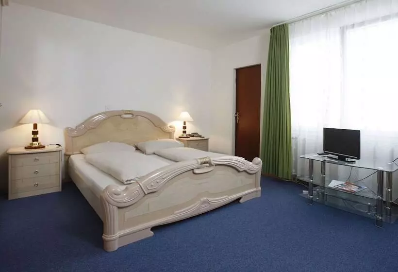 Fotos del hotel Spalenbrunnen Hotel & Restaurant Basel City Center:  16