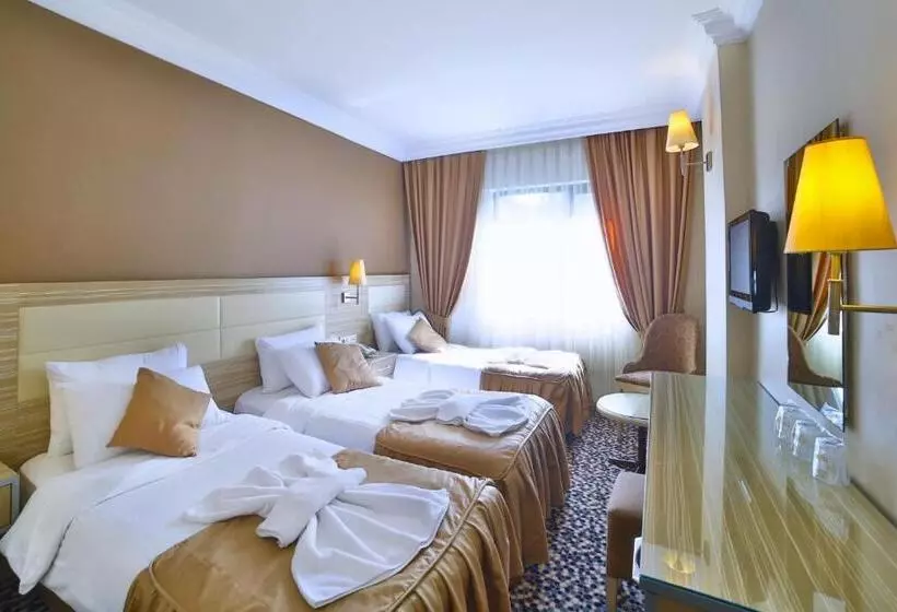 Fotos del hotel Grand Emin:  4