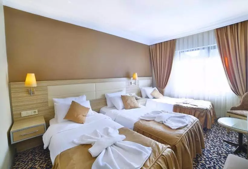 Fotos del hotel Grand Emin:  6