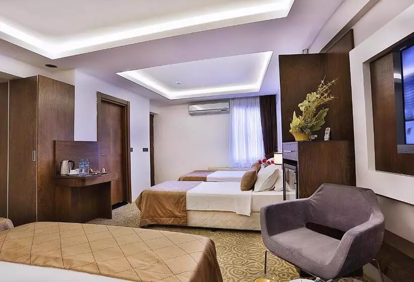 Fotos del hotel Grand Sagcanlar Hotel:  8