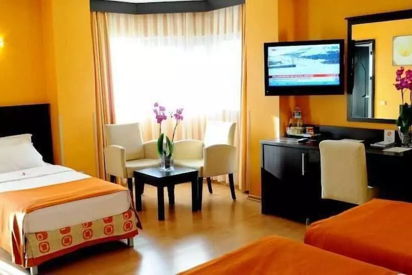 Fotos del hotel Mim Hotel Istanbul:  17