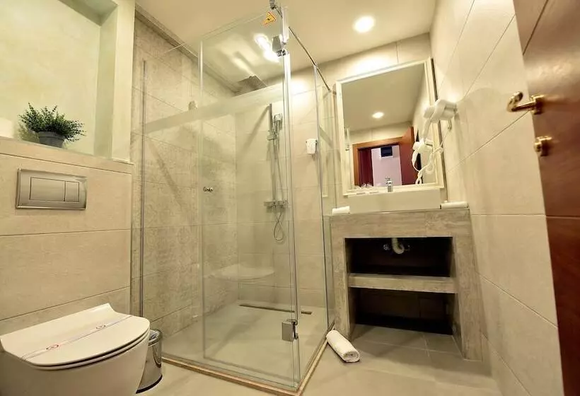 Fotos del hotel Lazaro:  5