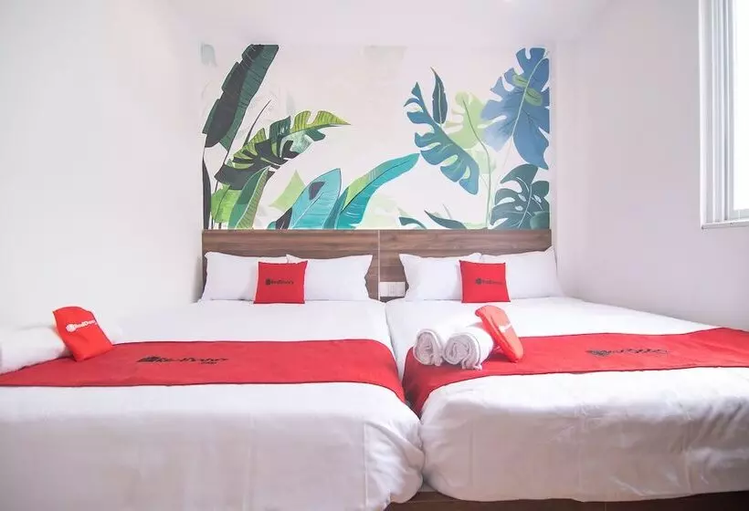 Fotos del hotel Reddoorz Plus @ Tran Quang Khai Street:  23