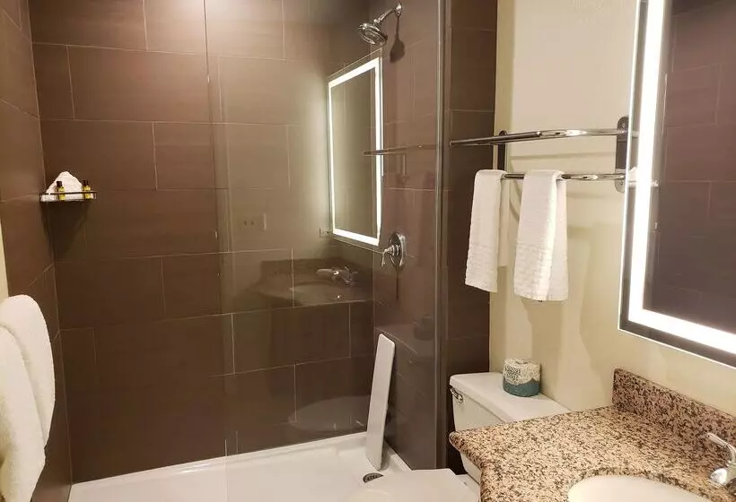 Fotos del hotel Best Western Plus Hawthorne Terrace:  12