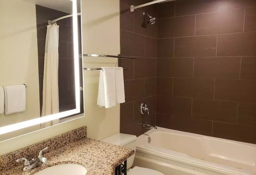 Fotos del hotel Best Western Plus Hawthorne Terrace:  15