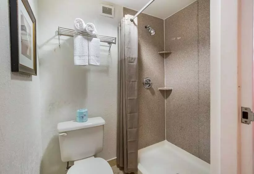 Fotos del hotel Budgetel Inns & Suites - Atlanta Galleria Stadium:  23