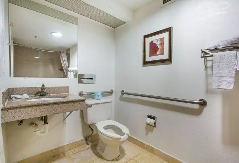 Fotos del hotel Budgetel Inns & Suites - Atlanta Galleria Stadium:  16