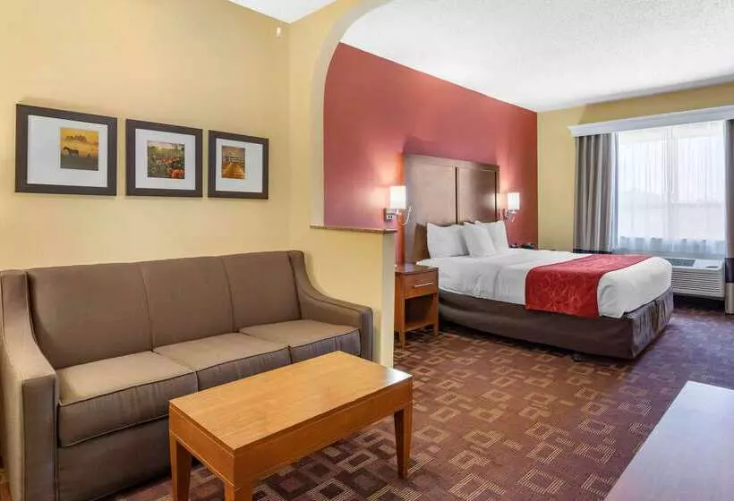 Fotos del hotel Comfort Suites Houston Galleria:  22