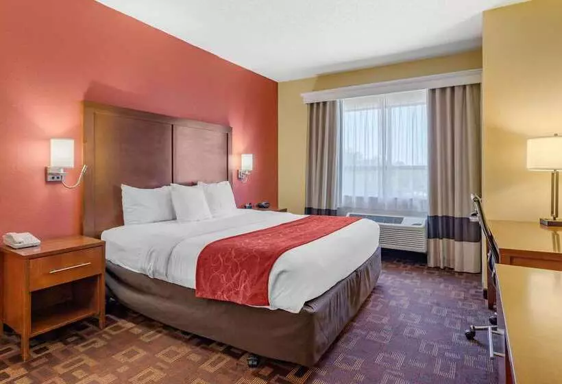 Fotos del hotel Comfort Suites Houston Galleria:  7