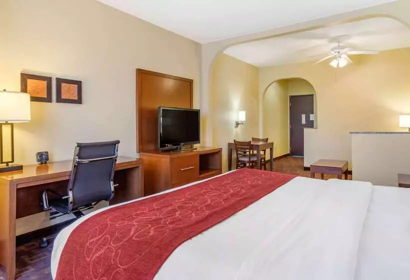 Fotos del hotel Comfort Suites Houston Galleria:  12