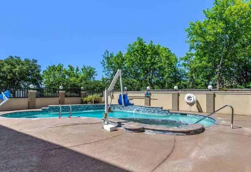 Fotos del hotel Comfort Suites Houston Galleria:  13