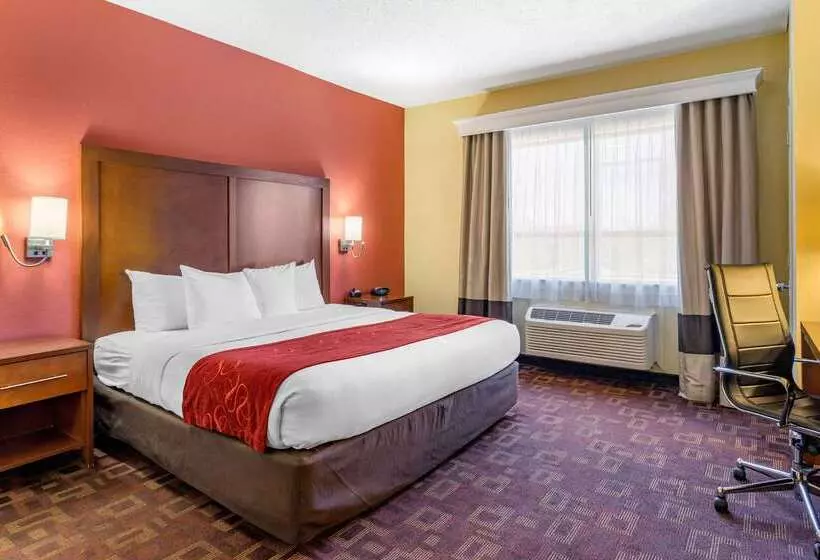 Fotos del hotel Comfort Suites Houston Galleria:  16