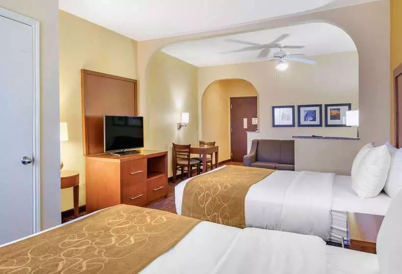 Fotos del hotel Comfort Suites Houston Galleria:  23