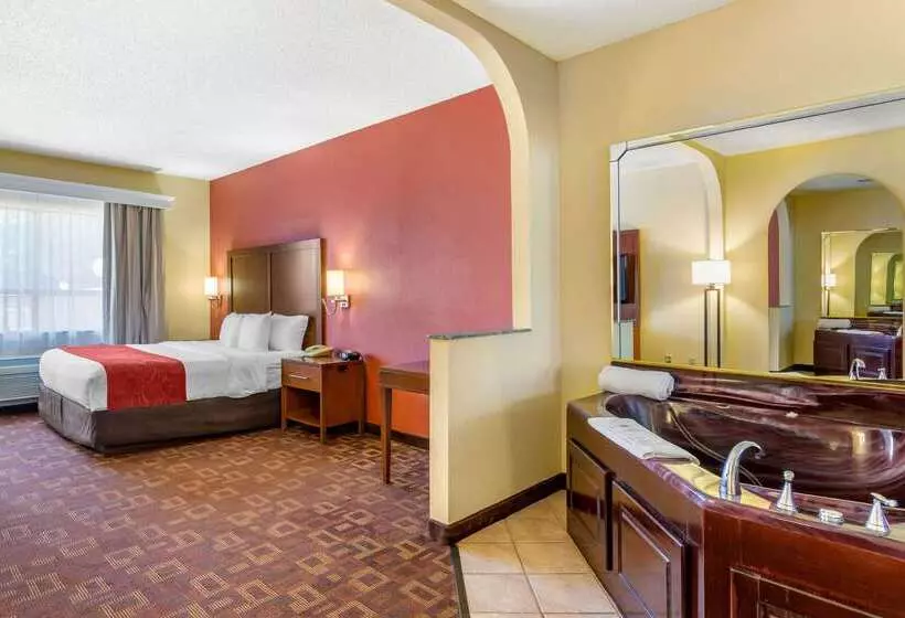 Fotos del hotel Comfort Suites Houston Galleria:  17