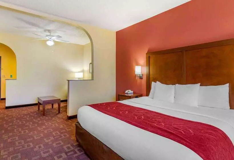 Fotos del hotel Comfort Suites Houston Galleria:  19