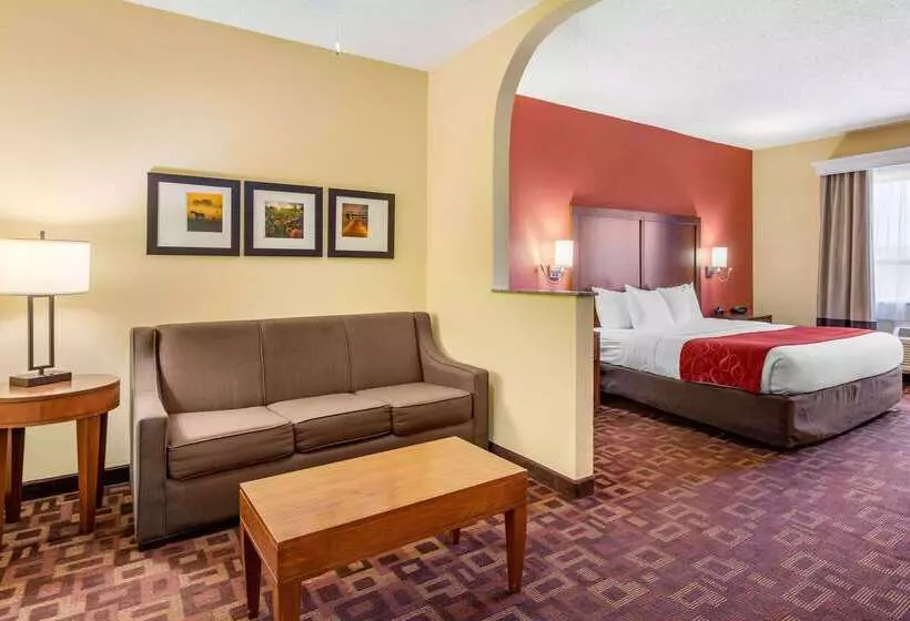 Fotos del hotel Comfort Suites Houston Galleria:  18