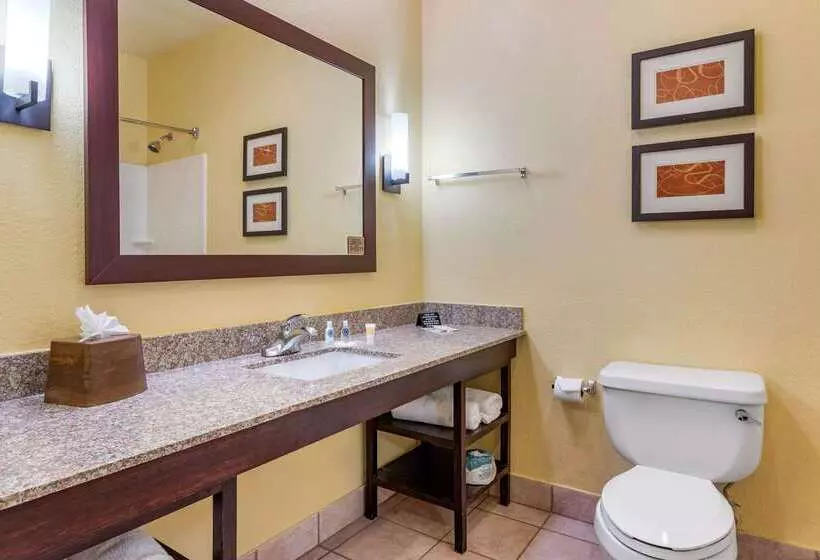Fotos del hotel Comfort Suites Houston Galleria:  11