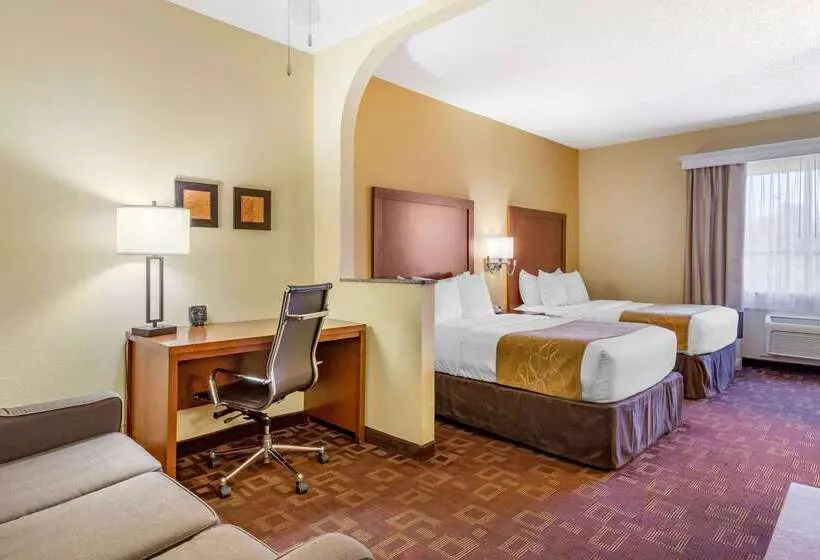 Fotos del hotel Comfort Suites Houston Galleria:  21