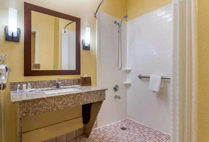 Fotos del hotel Comfort Suites Houston Galleria:  6