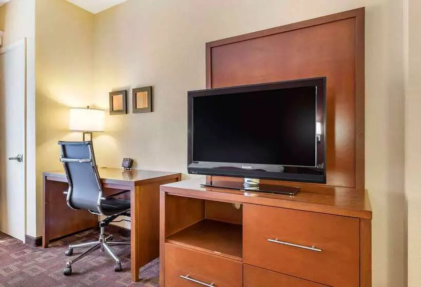 Fotos del hotel Comfort Suites Houston Galleria:  25
