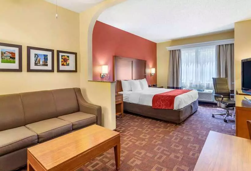 Fotos del hotel Comfort Suites Houston Galleria:  20