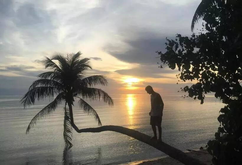 Fotos del hotel Dreamville Koh Phangan:  11