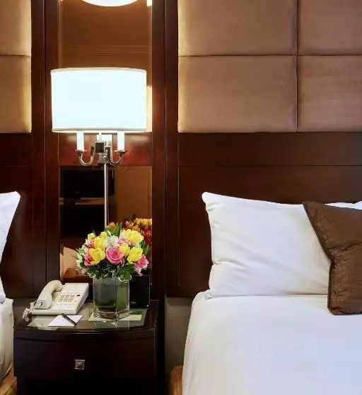 Fotos del hotel Excelsior:  14