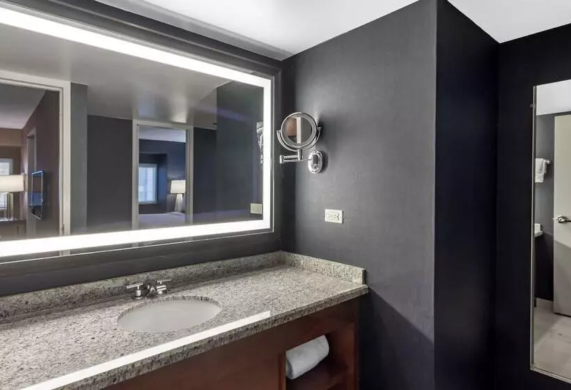 Fotos del hotel Omni Chicago Hotel & Suites Magnificent Mile:  18