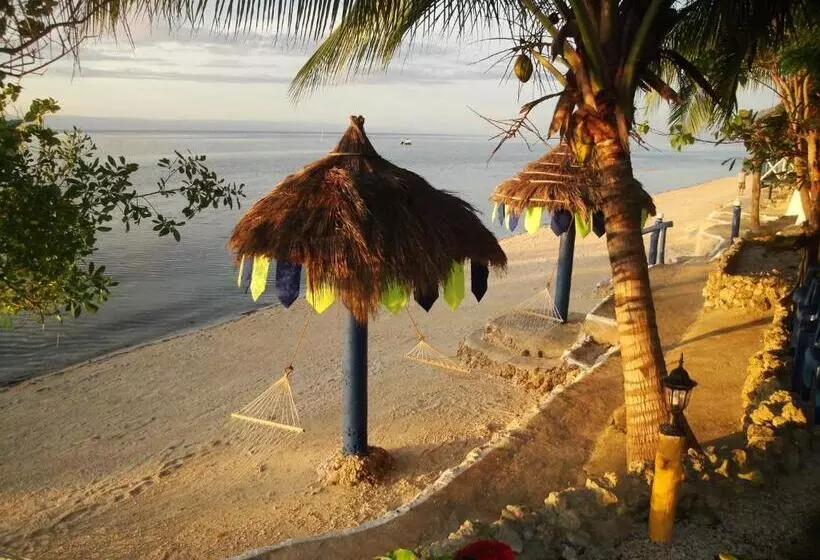 Fotos del hotel Casa De La Playa:  6