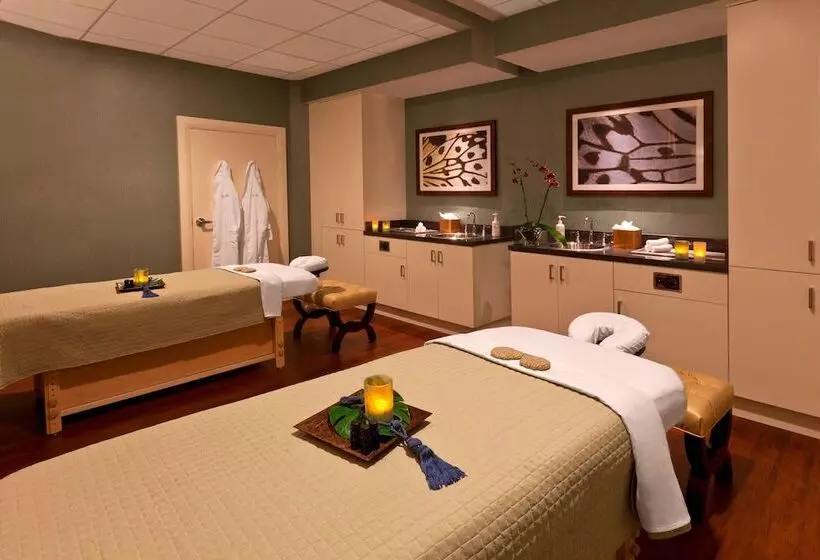 Fotos del hotel Sheraton Orlando Lake Buena Vista Resort Near Disney Springs:  8