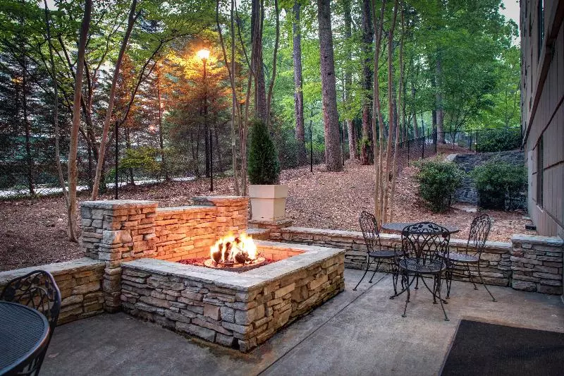 Fotos del hotel Holiday Inn Express Hotel & Suites Atlanta Buckhead, An Ihg:  7