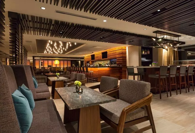 Fotos del hotel Hyatt Centric Chicago Magnificent Mile:  13