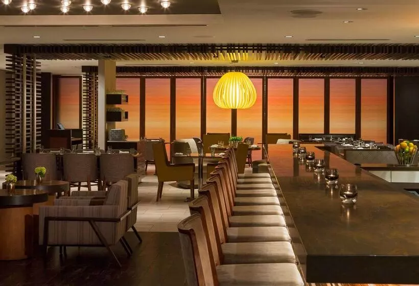 Fotos del hotel Hyatt Centric Chicago Magnificent Mile:  21