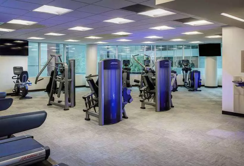 Fotos del hotel Hyatt Centric Chicago Magnificent Mile:  5