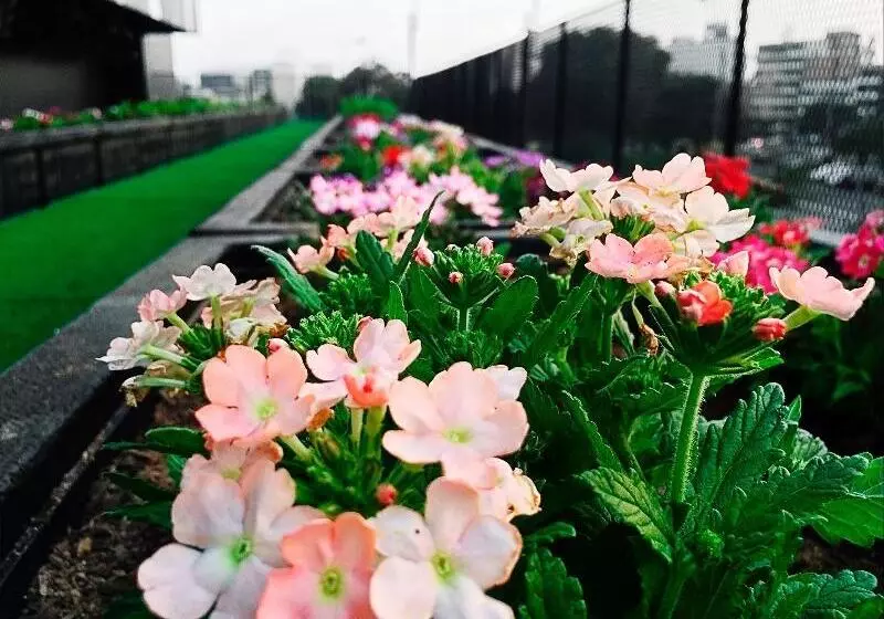 Fotos del hotel BTH Hotel:  25