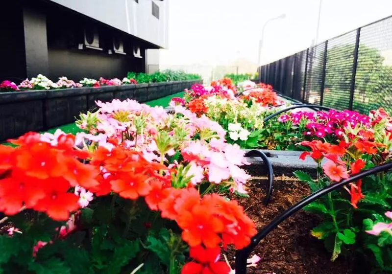 Fotos del hotel BTH Hotel:  13