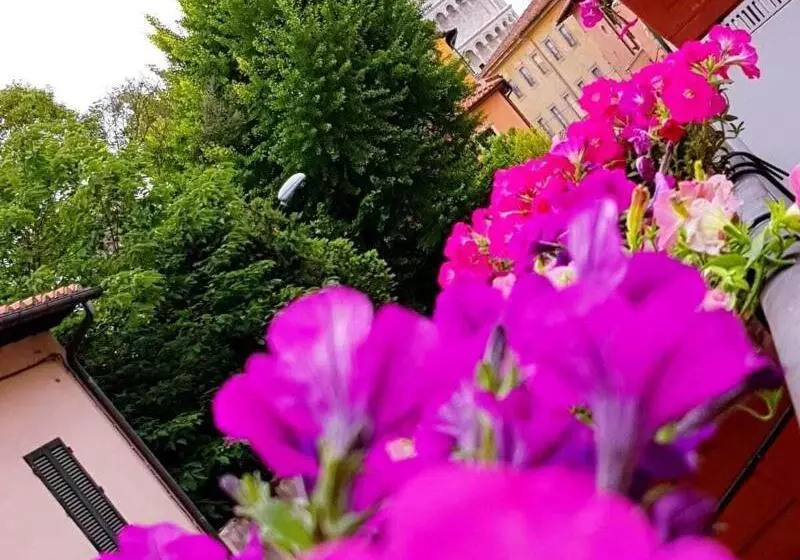 Fotos del hotel Francesco:  18