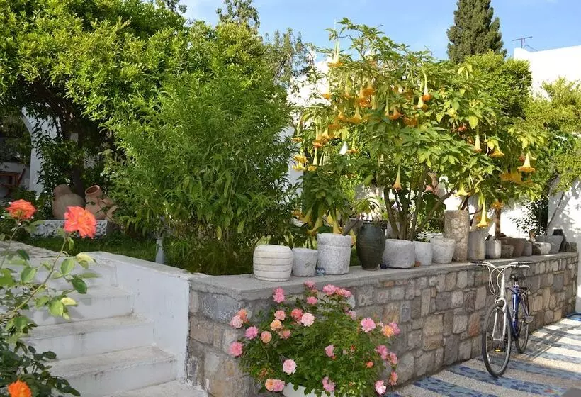 Fotos del hotel Su:  7