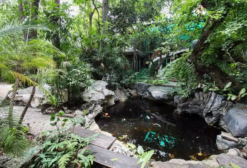 Fotos del hotel Piyapruk Resort & Steakhouse:  19