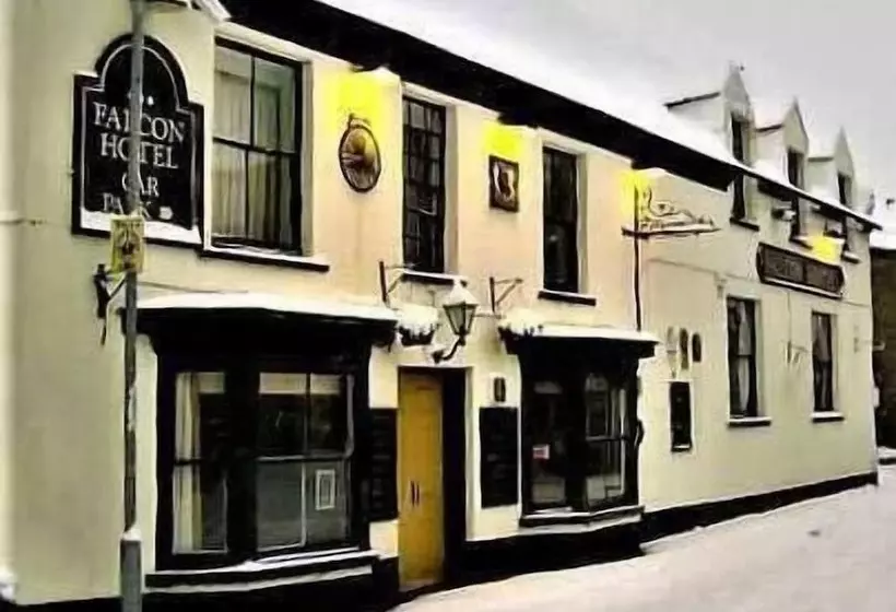 Fotos del hotel Falcon:  5
