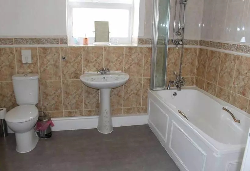 Fotos del hotel Falcon:  4