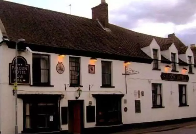 Fotos del hotel Falcon:  8