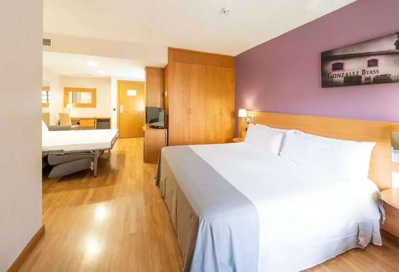 Fotos del hotel Jerez Centro, Affiliated by Meliá:  7