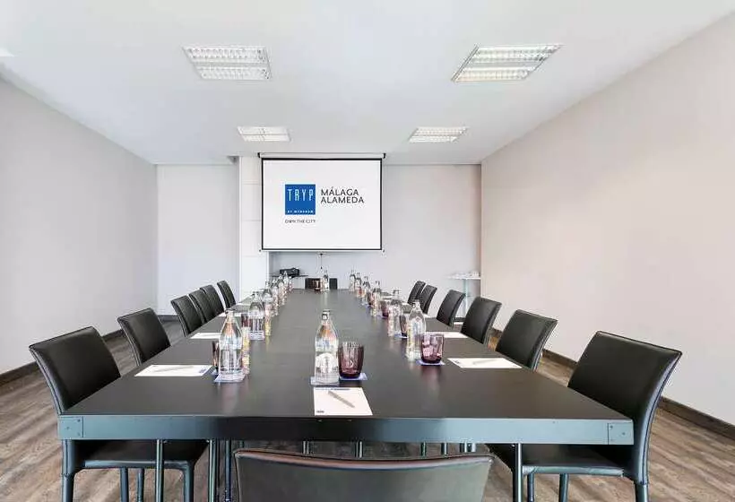 Fotos del hotel Málaga Alameda Centro, Affiliated by Meliá:  45