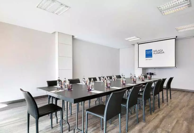 Fotos del hotel Málaga Alameda Centro, Affiliated by Meliá:  43