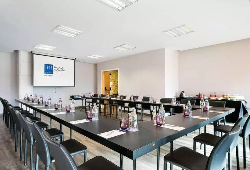 Fotos del hotel Málaga Alameda Centro, Affiliated by Meliá:  46