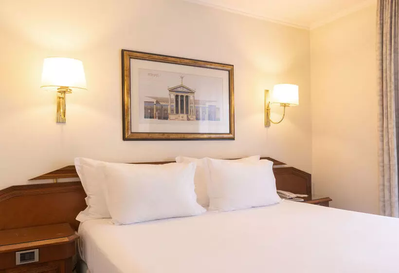 Fotos del hotel Sana Rex:  12