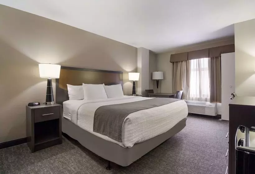 Fotos del hotel Surestay Plus Hotel By Best Western Houston Medical Center:  22